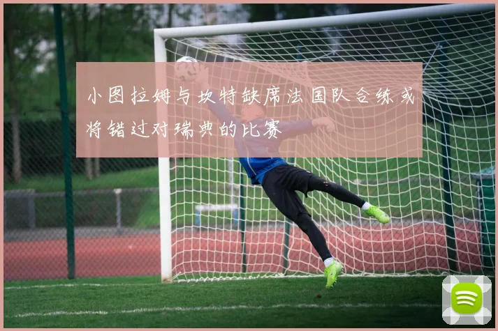 小图拉姆与坎特缺席法国队合练或将错过对瑞典的比赛