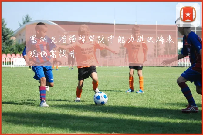塞纳克增强绿军防守能力进攻端表现仍需提升